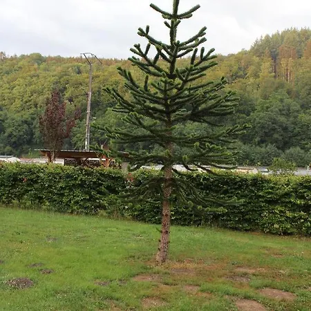 Holiday home Chez Arsene Bouillon