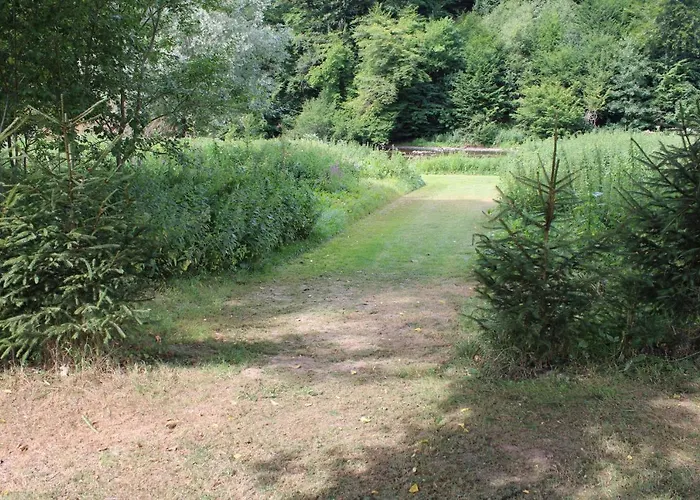 Chez Arsène * Bouillon