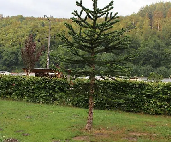 Ferienhaus Chez Arsène Bouillon